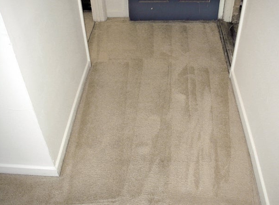 Professional Carpet Care - Durham, NC