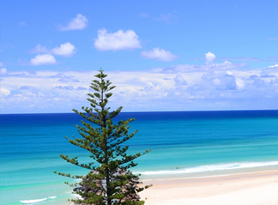 Coolangatta Psychology - Coolangatta, QLD