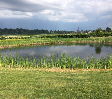 Swans Trail Farms - Snohomish, WA