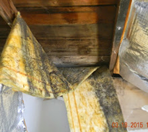 Accurate Mold Testing LLC - Redmond, OR. Water damage mold found behind insulation