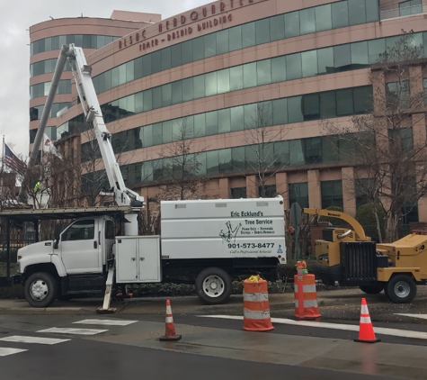 Eric Ecklund's Tree Service