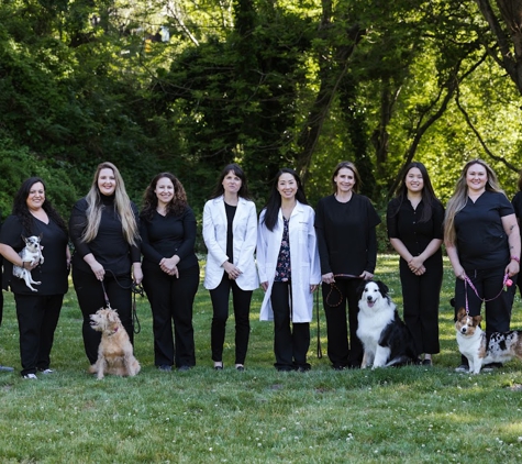 Ophthalmology For Animals - Aptos, CA