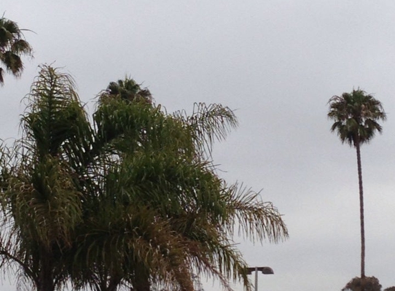 Starbucks Coffee - Ventura, CA