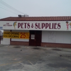 34 Pet Shop