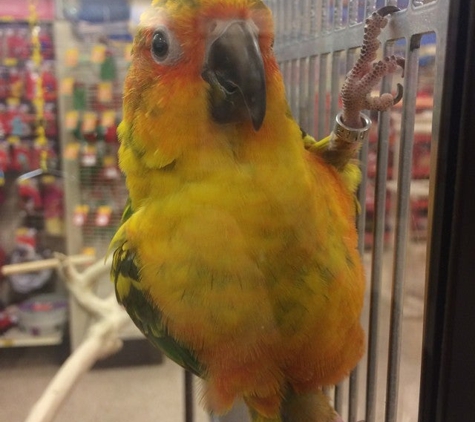 PetSmart - Chantilly, VA