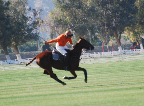 Uncle Jake's Petting Zoo & Riding Lessons - Beverly Hills, CA