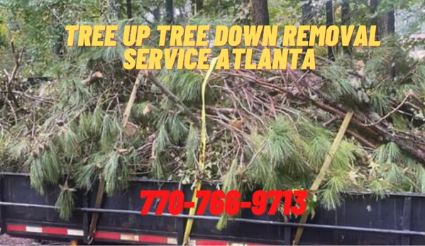 Tree Up Tree Down Removal Service Atlanta