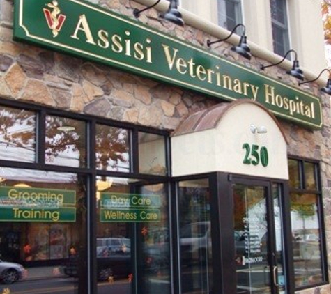 Assisi Veterinary Hospital - Malverne, NY