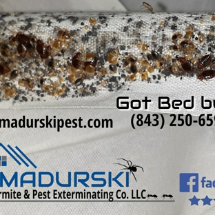 Madurski Termite & Pest Exterminating Co. LLC - Florence, SC