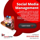 Trendwise Consulting