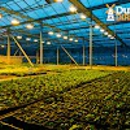 Dutch Direct - Agricultural Seeding & Spraying