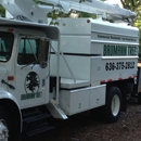 Baumann Tree - BBB A+ Rated - Tree Service