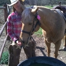 Horsin Around at BLORA - Riding Academies