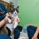 PetVet365 Pet Hospital Leander - Veterinary Clinics & Hospitals