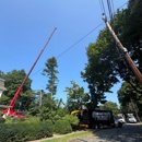 Martel Crane Service & Tree Removal - Tree Service