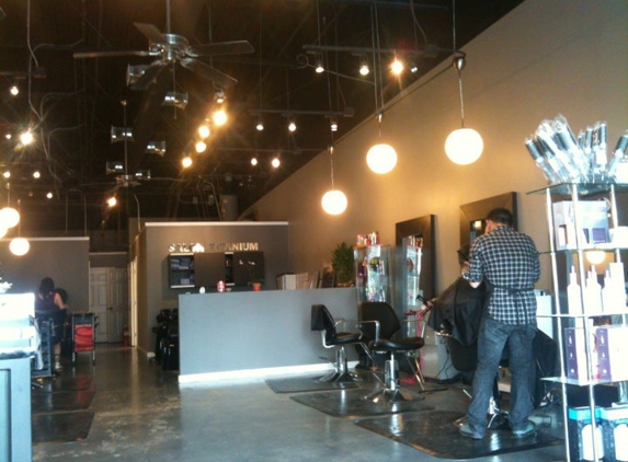 Salon Titanium - Buford, GA