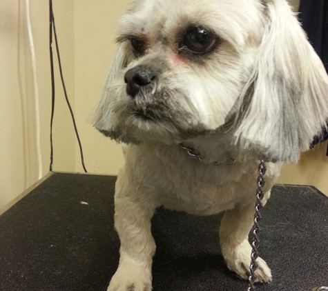 Anthony's Grooming - Warren, MI