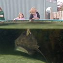 Alabama Aquarium at the Dauphin Island Sea Lab - Recreation Centers