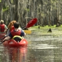 Kayak Swamp Tours