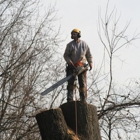 DuFault Tree Services