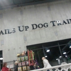 Tails Up Dog Training