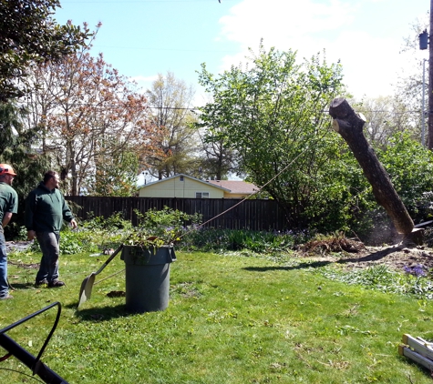 A-1 Ron's Stump & Tree Removal - Eugene, OR