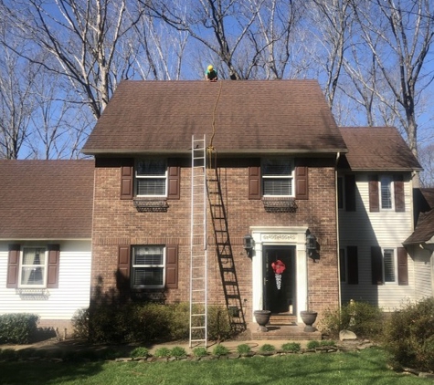 Shingle Restoration Services