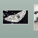 Clove Auto Body Inc. - Auto Repair & Service