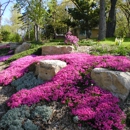 Green Scene - Landscape Designers & Consultants