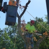 A Better Tree Service gallery