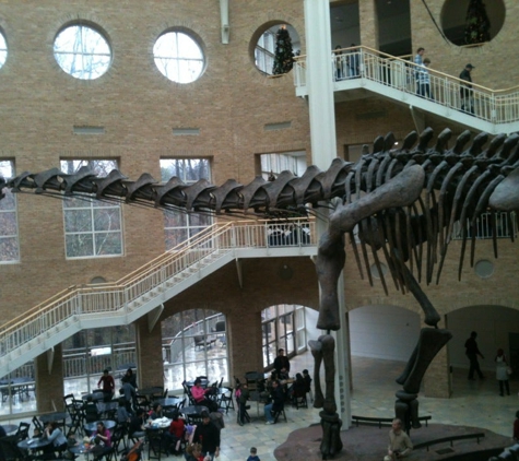 Fernbank Museum of Natural History - Atlanta, GA