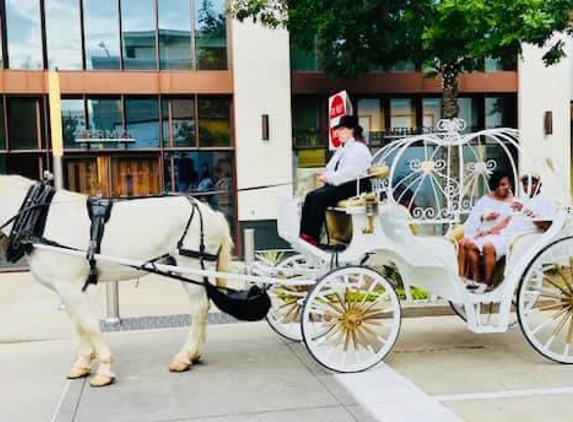 Vintage Carriage Company - Houston, TX