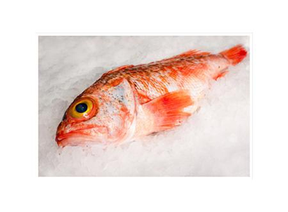 Poulos Bros Seafoods Pty Ltd - Pyrmont, NSW