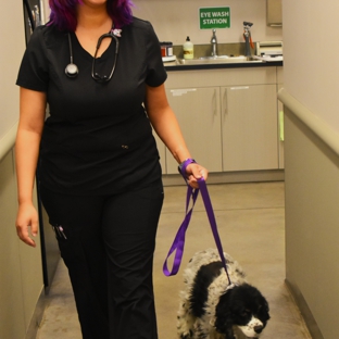 5280 Veterinary Care - Denver, CO