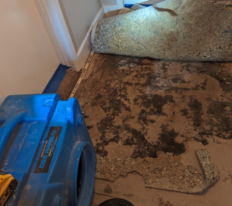 Affordable Mold Removal & Remodeling - Ponte Vedra Beach, FL