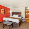 Comfort Inn & Suites gallery