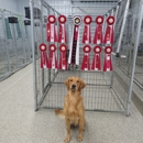 The Kennel At Five Forks - Kennels