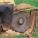 Stump Buster - Tree Service