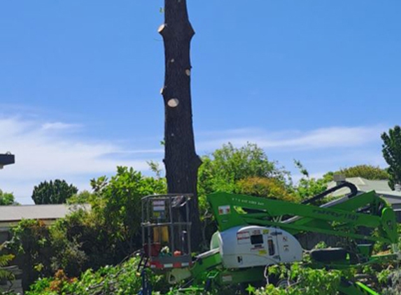 Phil's Tree Service - Cootamundra, NSW