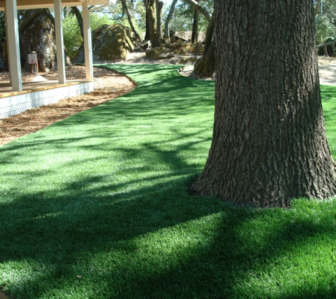 Purchase Green Artificial Grass - Chatsworth - Chatsworth, CA