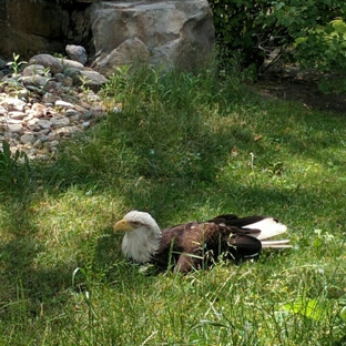 Tracy Aviary - Salt Lake City, UT