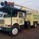 Superior Tree Service, Inc. - Tree Service