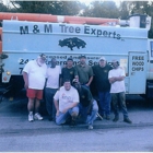 M & M Tree Experts Inc.