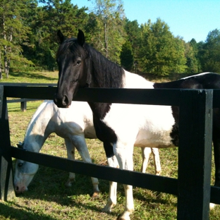 Stoneybrook Stables - Concord, NC