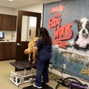 Mercy Pet Resort - Pet Services
