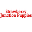 Strawberry Junction Puppies - Pet Breeders