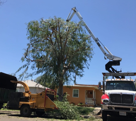 Angel's Tree Service - Orange, CA