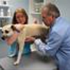 PetCare Animal Hospital - Loveland gallery