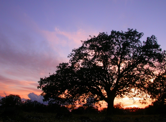 Counseling and Nature Therapy Center, PLLC - West Lake Hills, TX