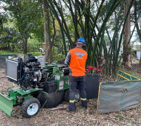 True Blue Tree and Stump Removal - Glass House Mountains, QLD